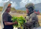 Satgas Yonif 621/Manuntung Dongkrak Ekonomi Warga Sinak Papua Lewat Borong Sayur
